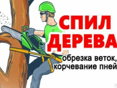 Спил деревьев