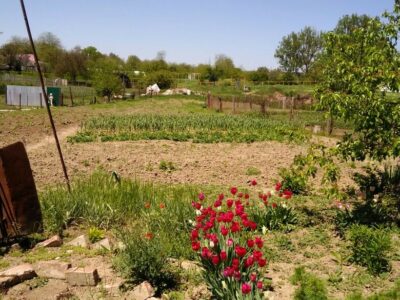 Продаётся дом в ст. Александрийской