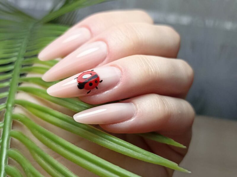 Услуги маникюра и наращивания ногтей в Георгиевске