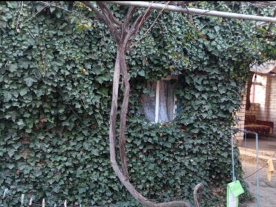 Продам дом в ст. Александрийской