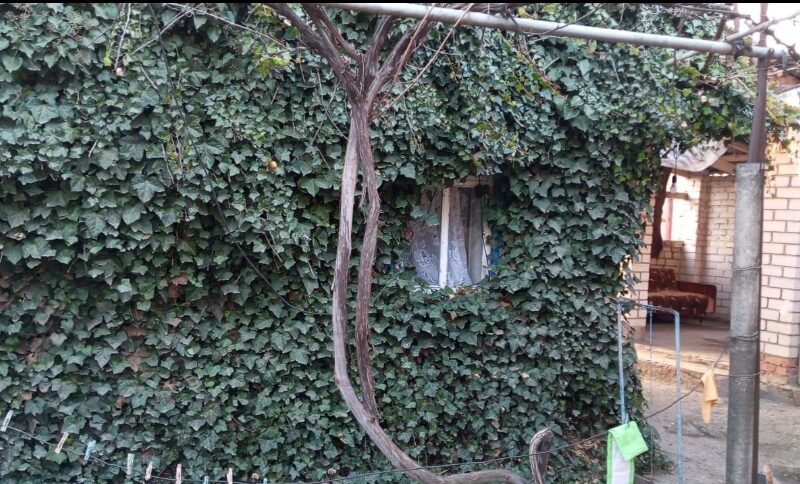 Продам дом в ст. Александрийской