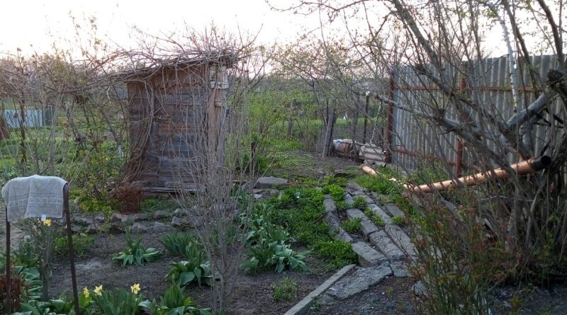 Продам дом в ст. Александрийской